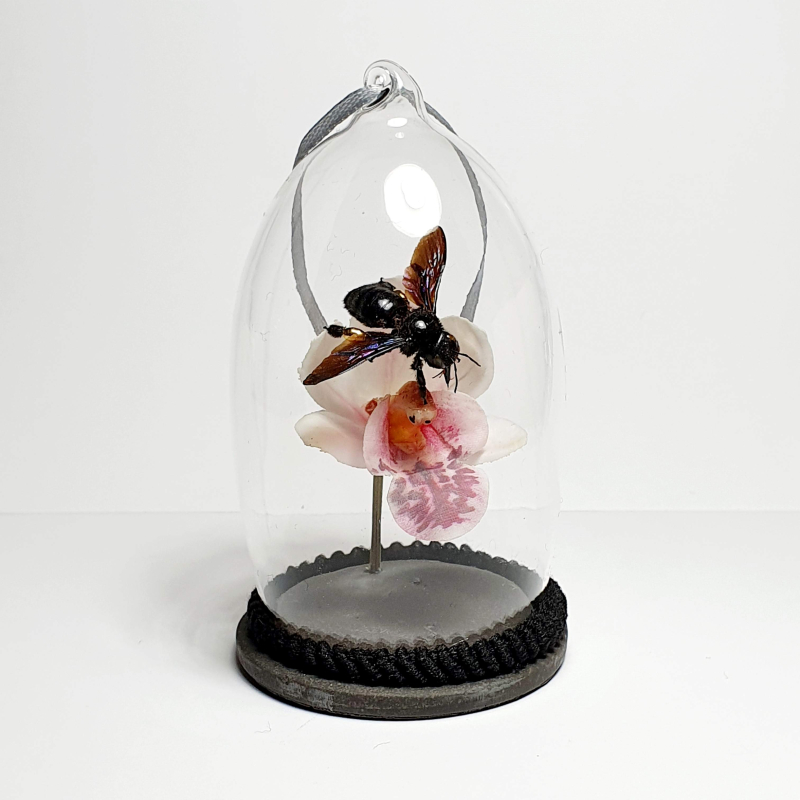 Natuur Historische Decoratie met 18k goud. Houtbij op orchidee